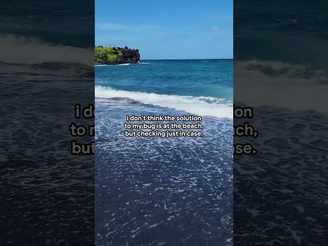 Sometimes the best way to fix a bug is to step away from the keyboard 🌊
