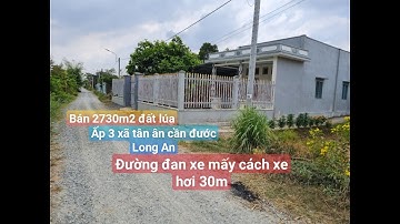 SẢN PHẨM mới || bán 2730m2 đất lúa  ấp 3 xã tân ân cần đước Long An.
