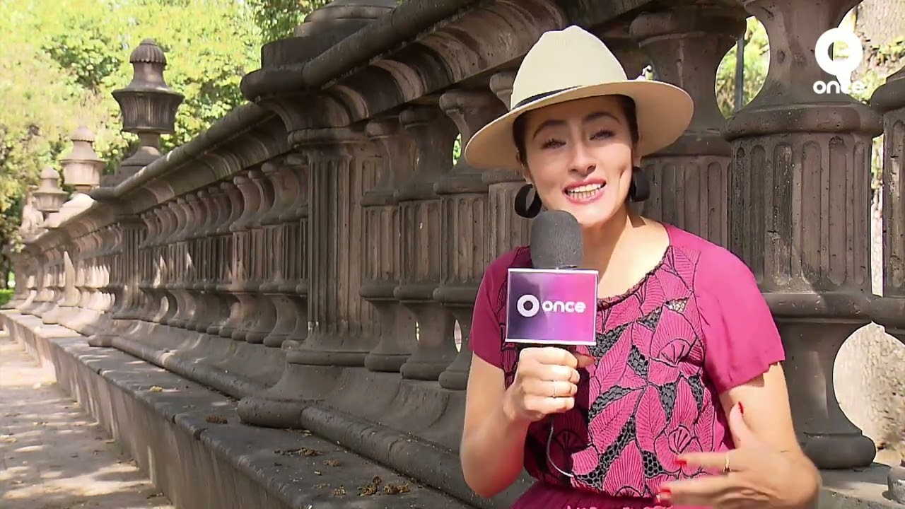 D Todo - Orizaba Veracruz (20/02/2024)