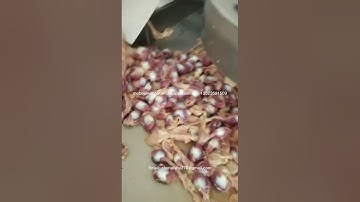 automatic chicken gizzard peeling processing machines