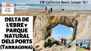 SALIDA EN FURGONETA CAMPER AL DELTA DE L'EBRE Y EL PARC NATURAL DELS PORTS.VW California Beach T6.1