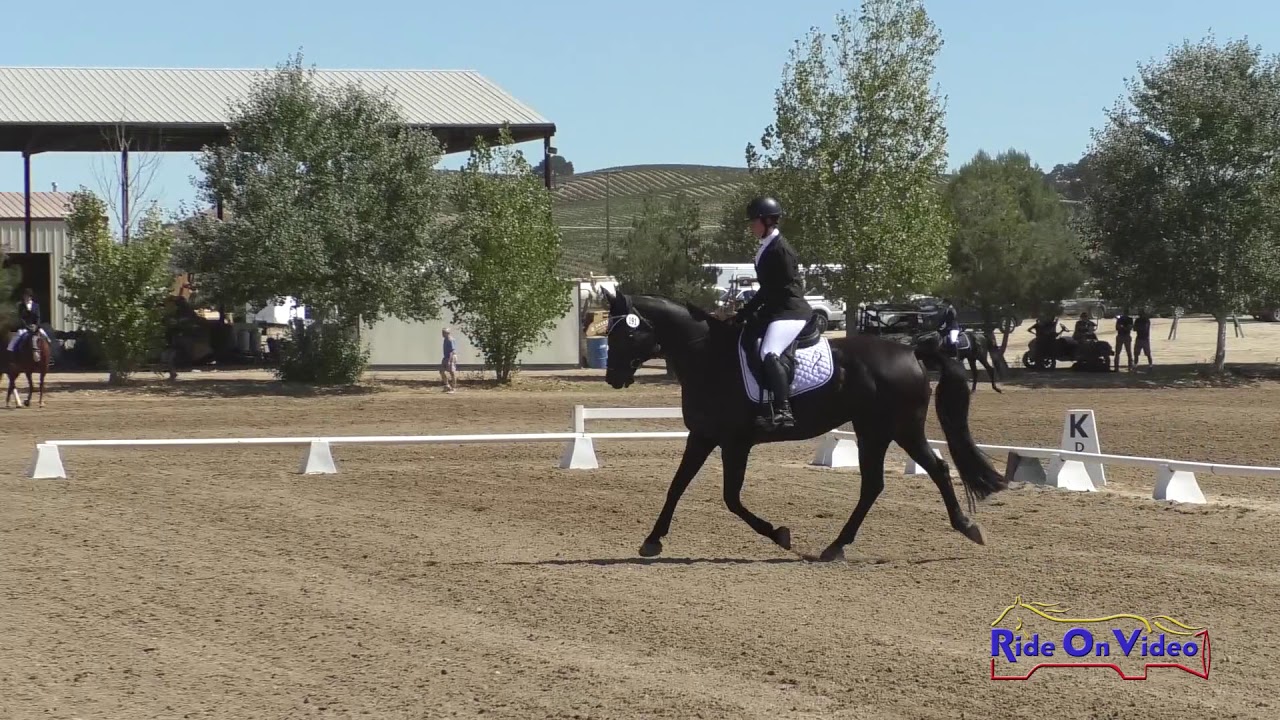 horseshoe bend 191D Juliana Cassar on Silver Starr JR Novice Dressage Twin Rivers Ranch Sept. 2019