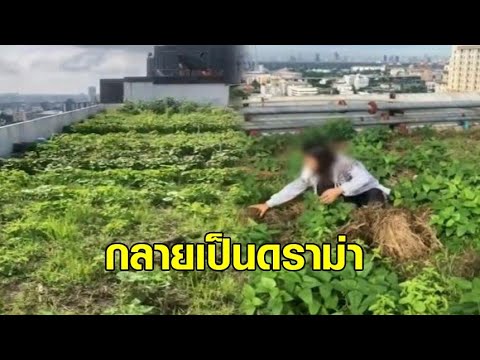 วีดีโอ: คุณสามารถปลูกผักบนระเบียงของคุณ – วิธีการปลูกสวนผักบนลาน