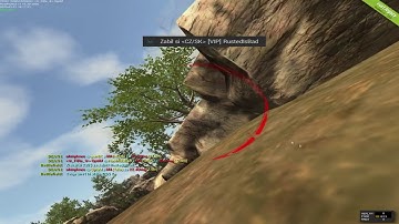 Rust legacy #17 / AIM SHOW