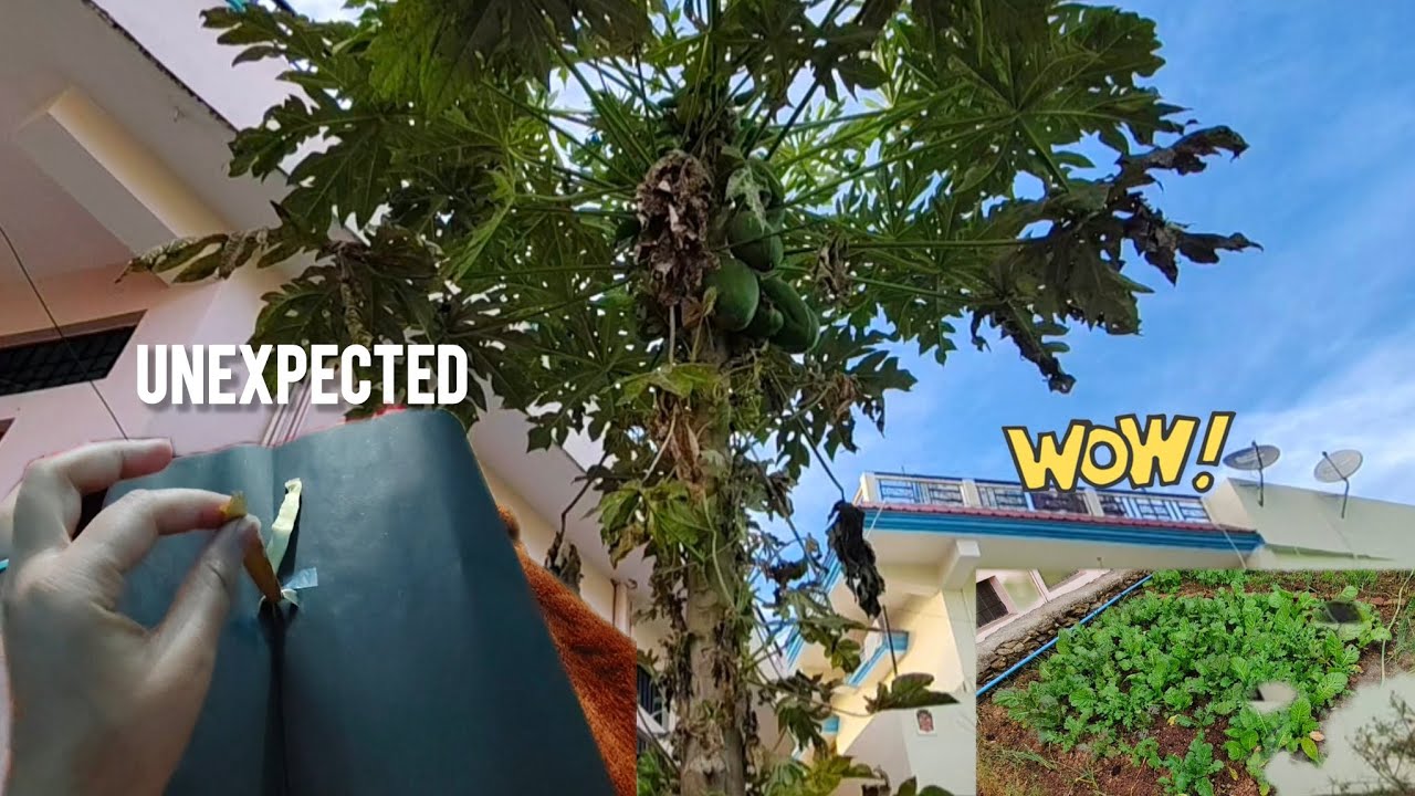 Paper, Seeds & a Beautiful Surprise 🎁🌱 | Daily Vlog 4