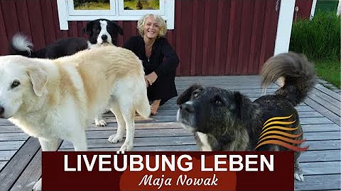 "LIVEBUNG Leben" in Schweden - von Maja Nowak