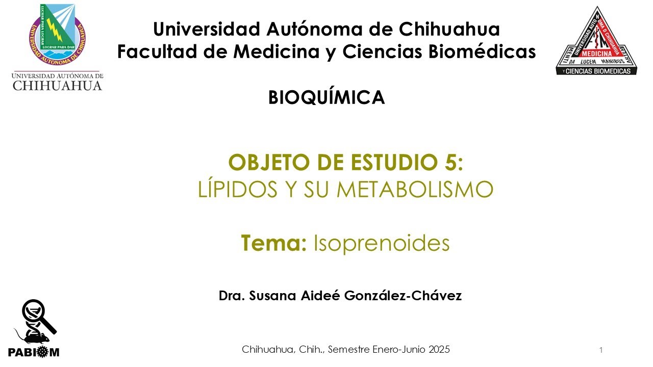3.4 Isoprenoides