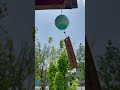 2025.7 川越氷川神社 風鈴