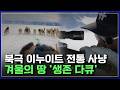 개썰매 끌고 바다표범 잡는 북극 이누이트 전통 사냥, 북극에서 벌어지는 '진짜 생존 다큐'! [반복재생] / YTN 사이언스