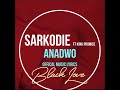 Sarkodie- Anadwo ft. King Promise (Official Music Lyrics)
