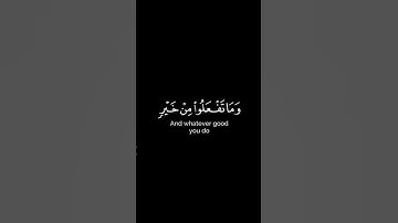 الحج أشهر معلومات |#سورة_البقرة #عبدالرحمن_مسعد #quran #القرآن_الكريم
