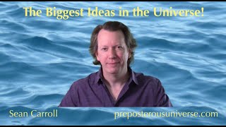 The Biggest Ideas in the Universe | Q&A 9 - Fields