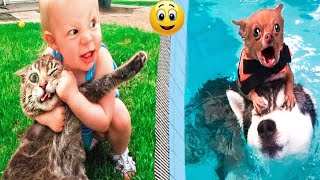 Funny Dog And Cat 😍🐶😻 Funniest Animals #254 by Cuti Animals 990 views 9 months ago 8 minutes, 1 second