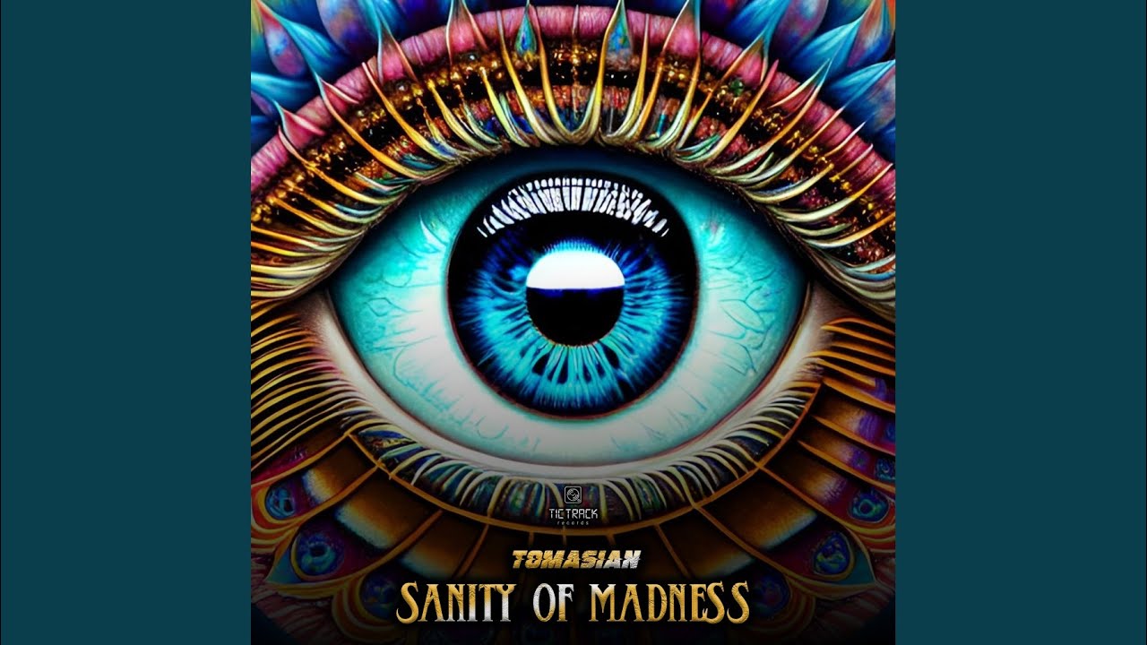 Sanity Of Madness