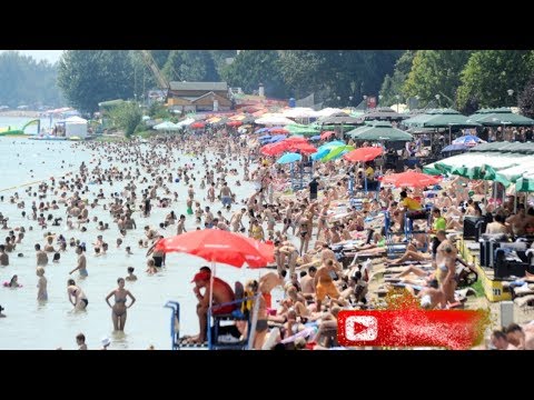 Video: Šta Se Desilo Sa Sinom Vasilija Lanovoja