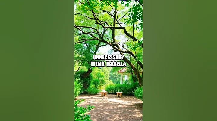 Isabella's Minimalist Transformation Saga