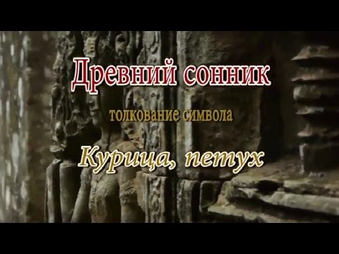 К чему снится Курица, петух сонник, толкование сна