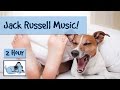 Music for Jack Russells! Soothing Music to Calm Down and Soothe Hyperactive Jack Russells!