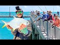 Crazy pier fishing for floridas best tasting fish fort de soto pompano