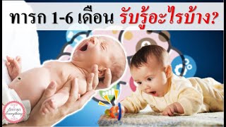 พัฒนาการทารก : ทารก 1 - 6 เดือนรับรู้อะไรบ้าง| พัฒนาการเด็กทารก | เด็กทารก Everything