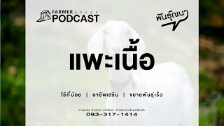 แพะ【พันธุ์ณนา】