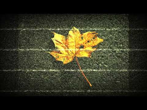 Solid Wall Of Sound - Autumn Falls