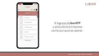 Tutorial cómo consultar y descargar tus Estados Contables con LiberApp screenshot 1