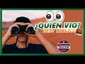 ¿QUIÉN VIO? - TEST BÍBLICO