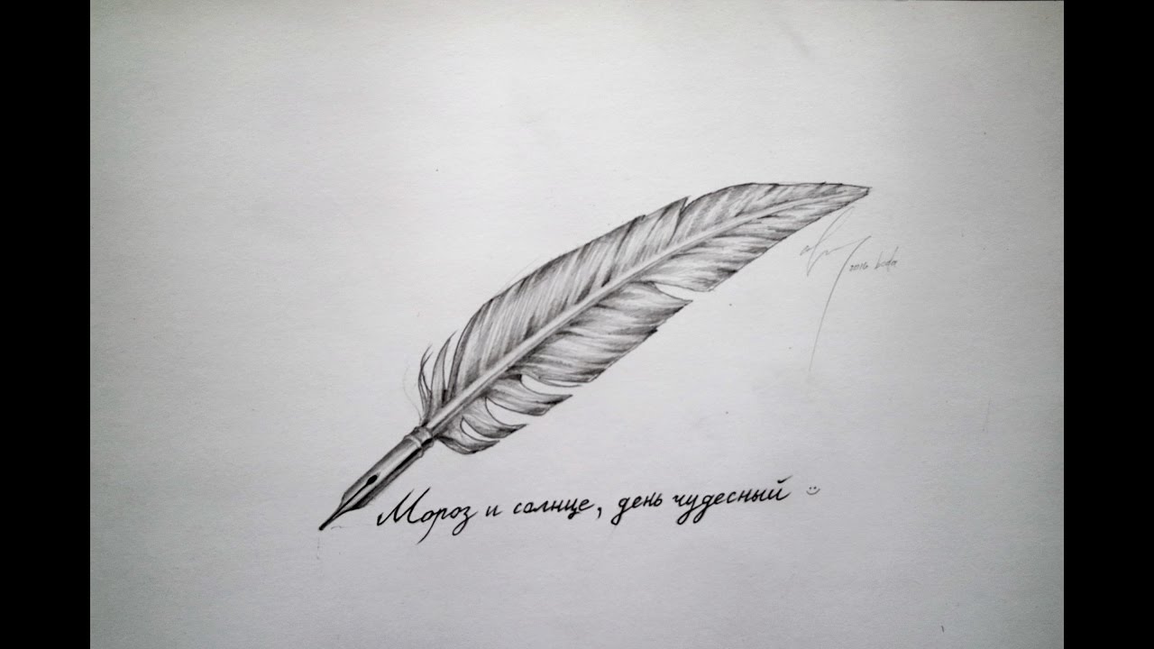 Легкие рисунки перьевой ручкой