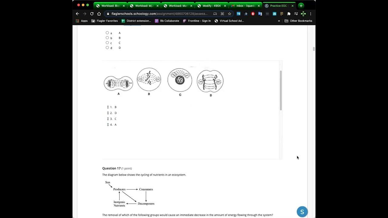 Florida Biology EOC Review YouTube