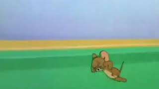 funny Punjabi Tom And Jerry Clip Mr Defy Pindi Amazing Dubbing