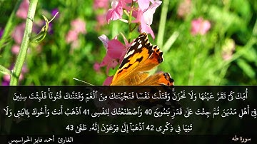 سورة طه كاملة مكتوبة و مسموعة بصوت القارئ أحمد فايز الحراسيس