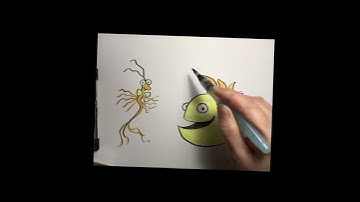 Drawing picture book characters from SEA MONKEY & BOB