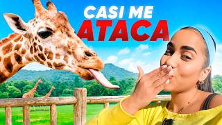 Una jirafa casi me ataca… 😳 | Vlog en el zoológico