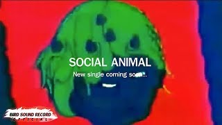 [TEASER] SOCIAL ANIMAL | ปีศาจ (Maskdevil) [NEW SINGLE]