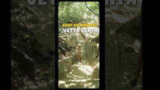 Скорее смотреть #влог #путешествия #шриланка #топ #newmusic