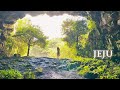 제주도 사진 찍기 좋은 가볼 만한 곳 추천! 오늘은 녹차한잔 녹차밭 🌿🍃🌱 (Jeju Trip)