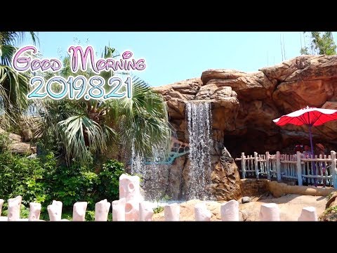 Every Morning 30sec Disney 2019.8.21
