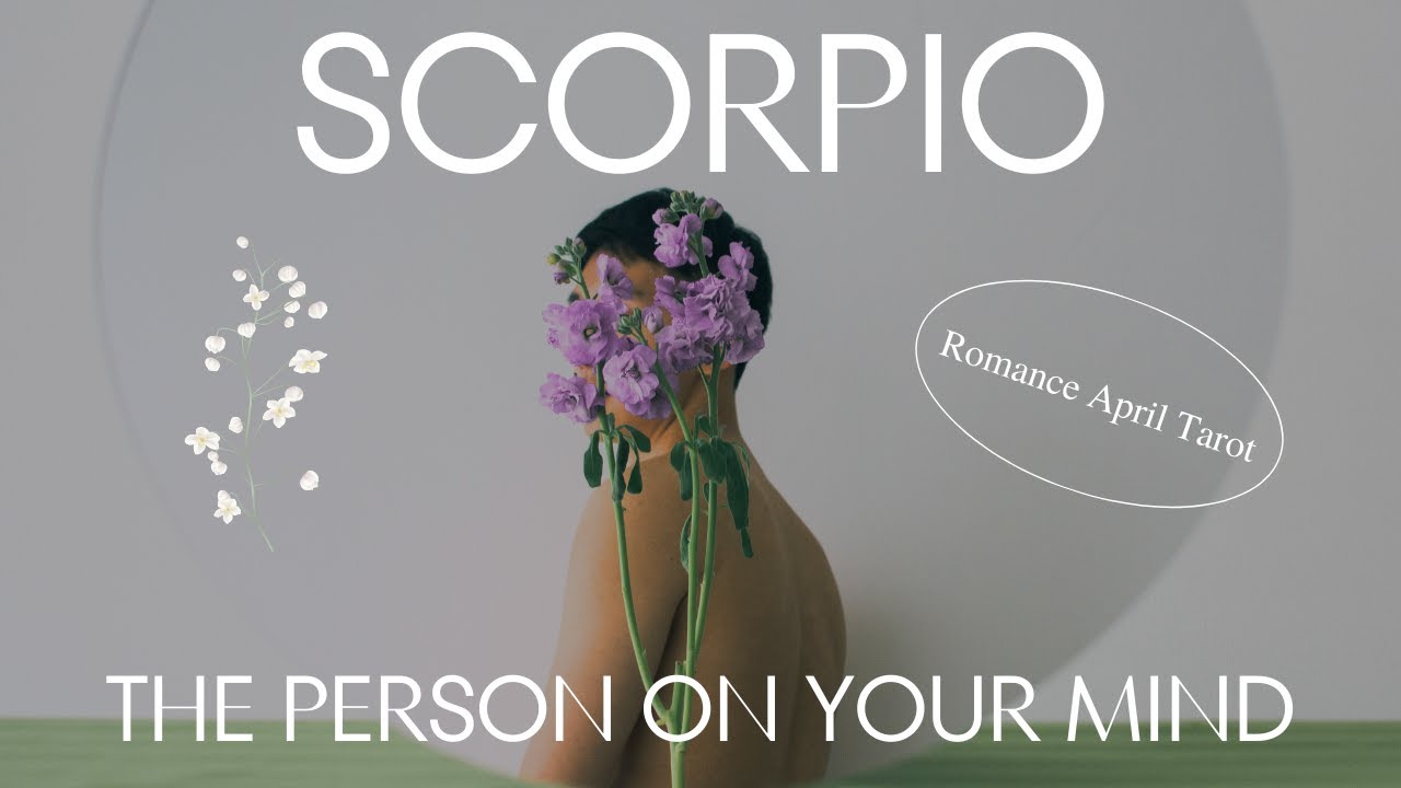 SCORPIO 🌸 A DESTINED CONVERSATION 💬 LEADS TO LOVE & CLARITY! 🙌💗