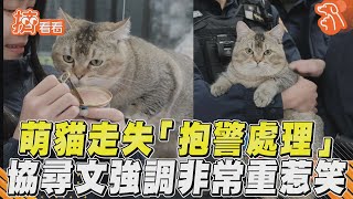 萌胖貓走失「抱警處理」! 協尋文強調「非常重」惹笑擠看看TVBS新聞@TVBSNEWS01