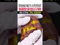 겨울 대표 간식 꿀맛 #밤고구마