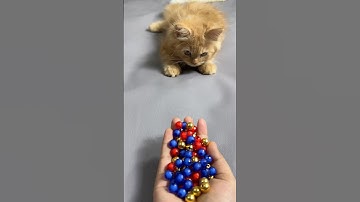 Magic Reverse Cat 😱 Satisfying ASMR Bead #shorts #cat #asmrcat #beads #satisfyingasmr