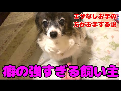 エサなしお手の方がおてする説
