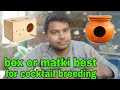 box or matki best for cocktail bird breeding | cocktail breeding tips in winter