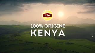 LIPTON Yellow Label - 100% ORIGINE KENYA INGRÉDIENT NATURE /PUB (2023)