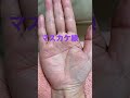 感情線と知能線が一本のマスカケ線　独特の考え方の持ち主