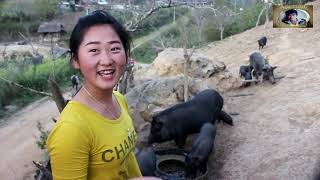 Fenglor Ncig Teb Chaw Mu Saib Lub Zo Yug Nyob Hav Tshauv