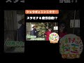5月16日のいまたまは【埼玉の#ショウガ と#ニンニク で#疲労回復】#アンゴラ村長 #発酵ジンジャーエール#坂戸パワーニンニク #スタミナ #見沼田んぼ #坂戸市 #埼玉県 #埼玉 #shorts