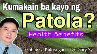 Patola: Health Benefits  Dr. Gary Sy