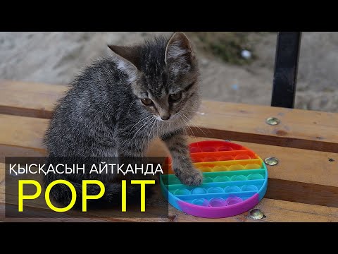 Video: Ит лотоктору деген эмне?